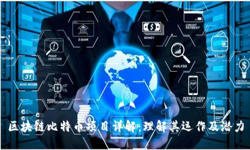 区块链比特币项目详解：理解其运作及潜力