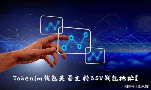 Tokenim钱包是否支持BSV钱包地址？