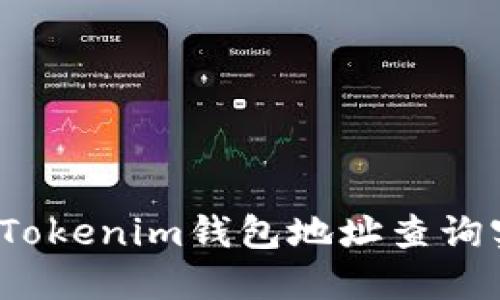 如何通过Tokenim钱包地址查询实名信息？