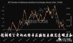 如何有效利用公开的比特币区块链来提高透明度