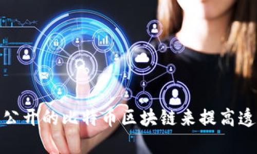 如何有效利用公开的比特币区块链来提高透明度和安全性