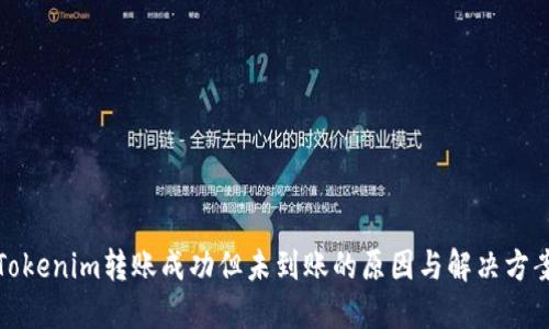 Tokenim转账成功但未到账的原因与解决方案
