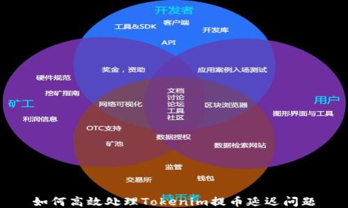 
如何高效处理Tokenim提币延迟问题