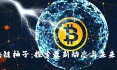 区块链柚子：探索最新动态与未来发展