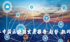 2023年中国区块链发展报告：趋势、挑战与机遇