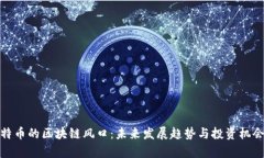 : 比特币的区块链风口：未来发展趋势与投资机会