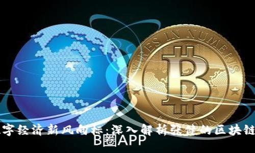 打造数字经济新风向标：深入解析张健的区块链五行币