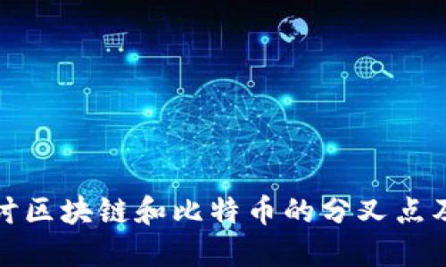 深入探讨区块链和比特币的分叉点及其影响