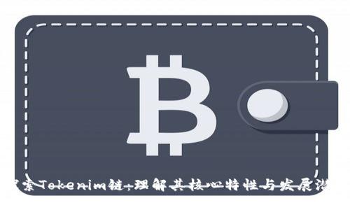 探索Tokenim链：理解其核心特性与发展潜力