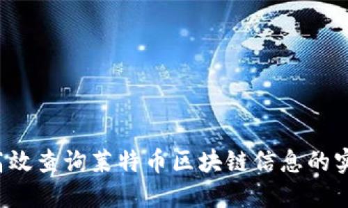  如何高效查询莱特币区块链信息的实用指南