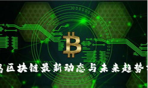 冰岛区块链最新动态与未来趋势分析