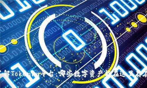 了解Tokenim平台：哪些数字资产能在这里存在？