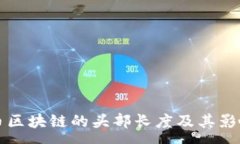 :比特币区块链的头部长度及其影响分析