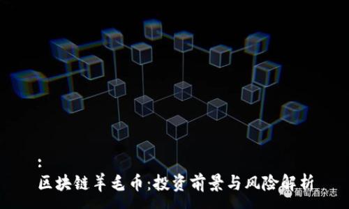 :
区块链羊毛币：投资前景与风险解析
