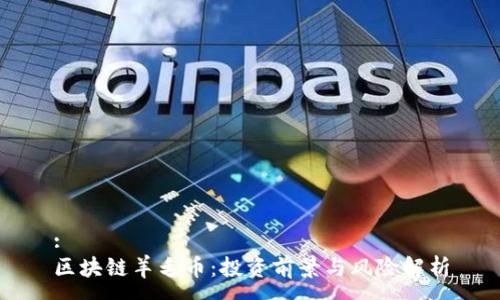 :
区块链羊毛币：投资前景与风险解析