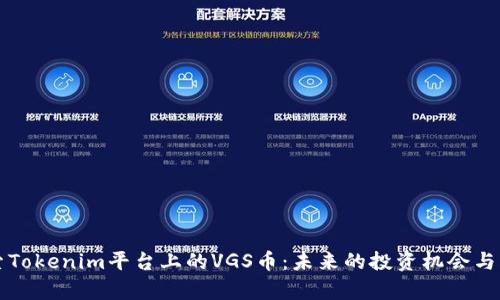 深入探索Tokenim平台上的VGS币：未来的投资机会与风险分析