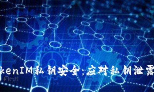 如何保障TokenIM私钥安全：应对私钥泄露的有效策略