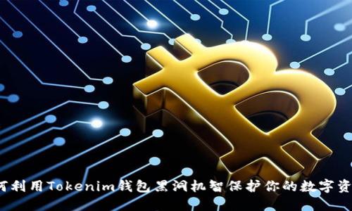 如何利用Tokenim钱包黑洞机智保护你的数字资产?