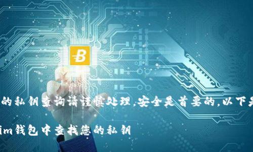 由于对tokenim钱包的私钥查询请谨慎处理，安全是首要的。以下是您请求的和关键词：

如何安全地在Tokenim钱包中查找您的私钥