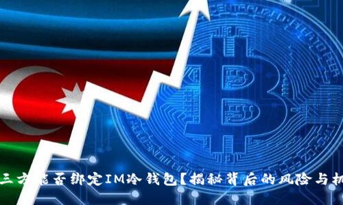 第三方能否绑定IM冷钱包？揭秘背后的风险与机遇