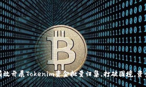 如何有效开展Tokenim资金批量归集，打破困境，资金流动