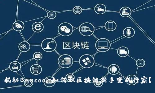 揭秘Beecool：如何从区块链新手变成行家？