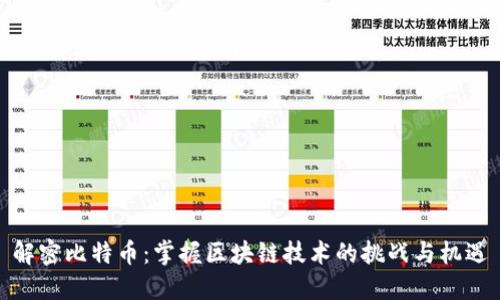 解密比特币：掌握区块链技术的挑战与机遇