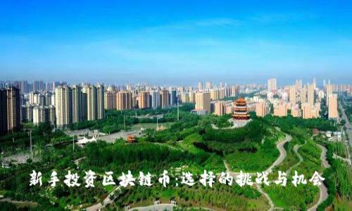 新手投资区块链币：选择的挑战与机会