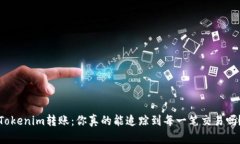 Tokenim转账：你真的能追踪到每一笔交易吗？