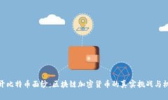 揭开比特币面纱：区块链加密货币的真实挑战与