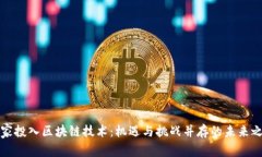 国家投入区块链技术：机遇与挑战并存的未来之