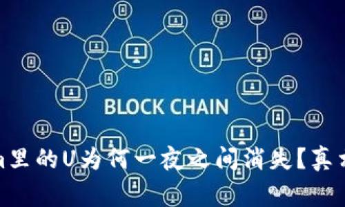 Tokenim里的U为何一夜之间消失？真相和预警