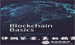 区块链大乱斗评测答案，真相揭露，谁才是赢家