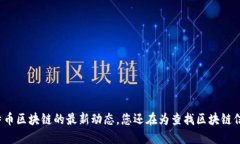轻松掌握莱特币区块链的最新动态，您还在为查