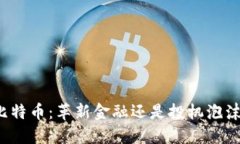 比特币：革新金融还是投机泡沫？