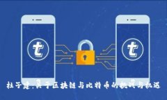 杜子建：关于区块链与比特币的挑战与机遇