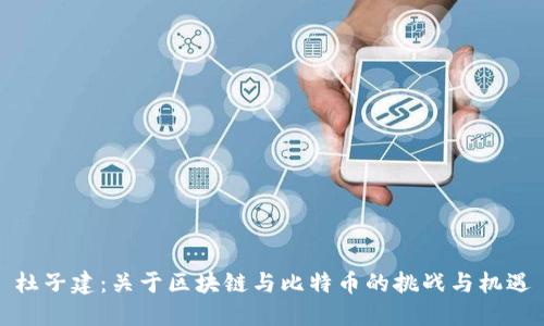杜子建：关于区块链与比特币的挑战与机遇
