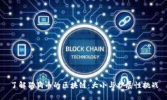 了解狗狗币的区块链：大小与扩展性挑战
