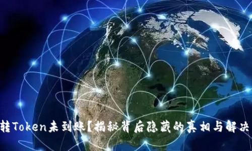货币转Token未到账？揭秘背后隐藏的真相与解决方案！