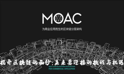揭开区块链的面纱：未来要迎接的挑战与机遇