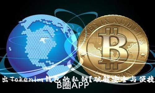 如何安全导出Tokenim钱包的私钥？破解安全与便捷的双重难题
