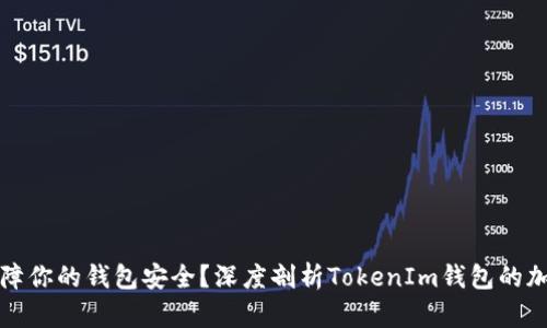 如何保障你的钱包安全？深度剖析TokenIm钱包的加密级别