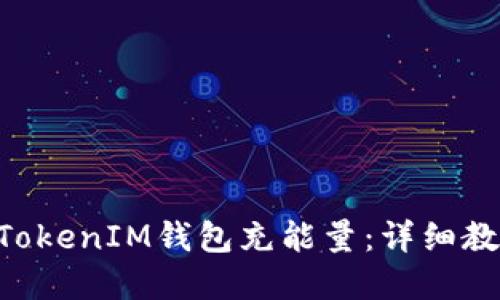 如何为TokenTokenIM钱包充能量：详细教程与实用技巧