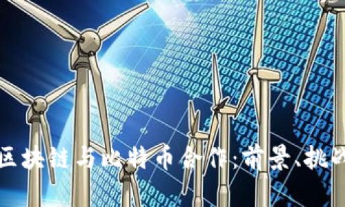 中国的区块链与比特币合作：前景、挑战与机遇