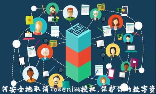 
如何安全地取消Tokenim授权，保护你的数字资产
