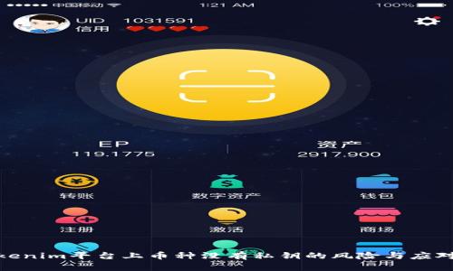 : Tokenim平台上币种没有私钥的风险与应对策略