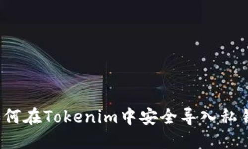 如何在Tokenim中安全导入私钥？