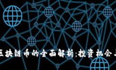 国外区块链币的全面解析：投资机会与风险