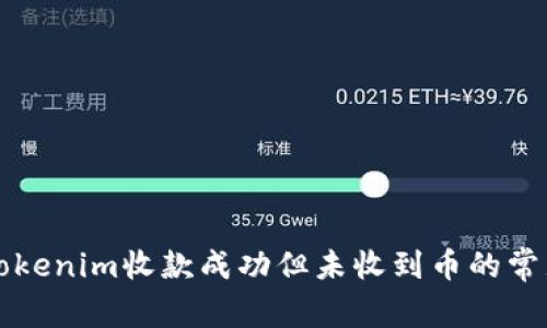 解决Tokenim收款成功但未收到币的常见问题