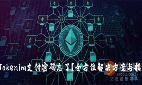  Tokenim支付密码忘了？全方位解决方案与指南